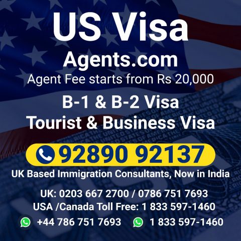 visa agent